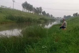 钓鱼的那些事图片