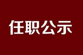 邹晓刚拟为西安市灞桥区区长人选图片