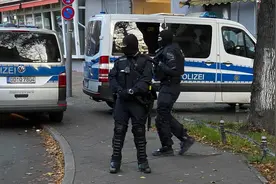 德国德累斯顿珍宝失窃案三名嫌疑人于柏林落网图片