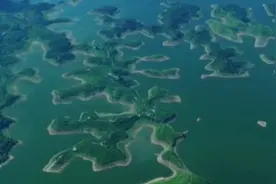 新征程开局“十四五”丨保护生物多样性 守住自然生态安全边界图片
