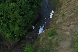 黑龙江海伦大峡谷发现罕见白垩纪生物群化石图片