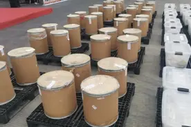 福建海警局对超1.4吨制毒物品全部高温销毁图片
