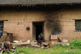 农民大哥占山为王，1人2条狗养90只羊，看生活成啥样图片