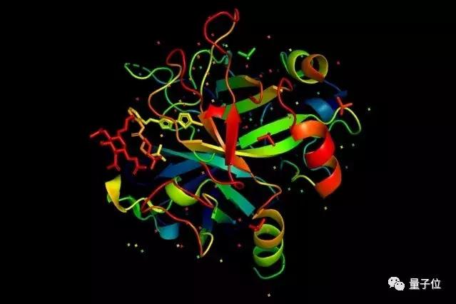 给我氨基酸序列，就能告诉你蛋白质功能！MIT超过DeepMind