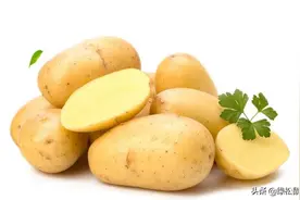 土豆、红薯发芽还能吃吗？土豆不要吃，红薯不值得吃图片