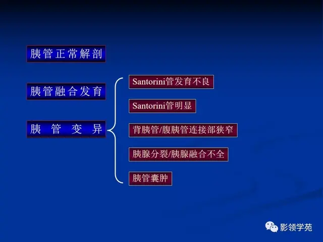 胰腺的解剖与常见变异