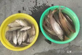 熊孩子专门偷偷到姑妈鱼塘钓鱼，最后闹到姑侄断绝来往图片