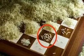 棋盘填米粒，数学家无法理解人性之恶，换成你是国王会怎么做？图片