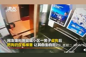 男子虐打哈士奇后扔电梯让其自生自灭，狗狗满脸是血，眼睛被打瞎图片