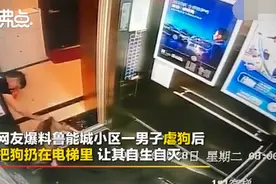 男子虐打哈士奇后扔电梯让其自生自灭，狗狗满脸是血，眼睛被打瞎图片