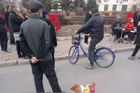 吉林市“铲屎官”注意啦图片