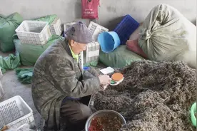 农村投资20多万办扶贫车间，贫困户家门口实现创收、顾家两不误！视频封面