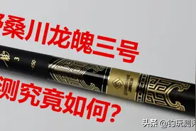 野桑川龙魄三号，实测究竟怎么样？图片