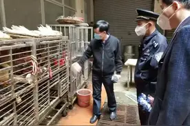 拿合法的证干非法的事，养殖场不能成野生动物杀戮场图片