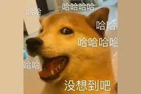 过去的生命中，你的最爱不是我；往后余生，我是你唯一的最爱图片
