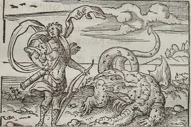 “千年杀”竟是被蟒蛇死亡缠绕后，最好的脱困方法图片