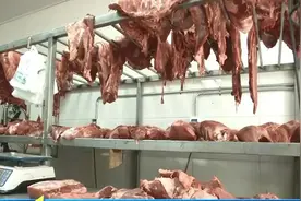 老母猪肉变造成牛肉！“微商”代理销售，涉案金额100余万元图片