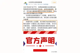 打架不好，特别不好！游客动物园互殴 北京野生动物园声明引热议图片