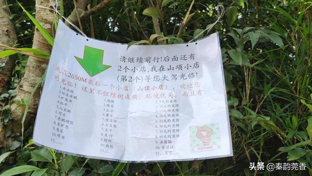 东莞最高峰银瓶山，这种美景真是人间少有！分享攻略助你轻松登顶