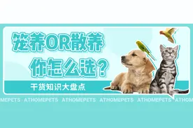 “你家狗狗是笼养的？也太残忍了吧！”图片