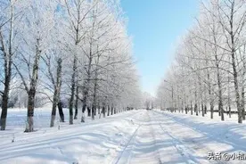 冬天，房车燃油如何选择？如何防止燃油冻上？老技师介绍了这几点图片