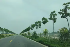 姓郄的，姓郗的，在河北行唐寻找姓氏的根脉图片