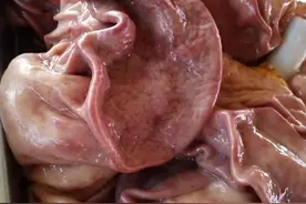 下水怎么煮？煮猪下水的配方秘方是什么？图片