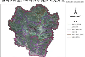 共177处！楠溪江滩林保护范围划定图片