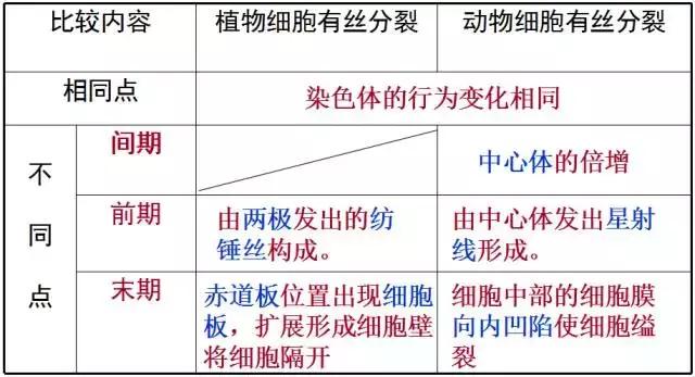 【生物】必修一知识点总结，学考、高考必看！
