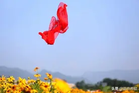 点评3张丝巾人像照片，阿姨们学习5个技巧和摆姿，拍优雅气质照图片