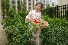 致女儿洋芋图片