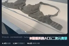 日本艺术家“山本优美”做的胸罩堪比真品，网友晒图表示难以分清图片