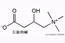 营养系列：左旋肉碱图片