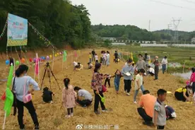 “五一”株洲接待游客94.74万人次，游玩有何新体验？图片