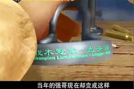 熊出没：强哥当年居然是伐木冠军，如今却被熊兄弟这般蹂躏视频封面