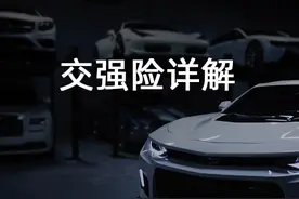 每年只买交强险的客户看过来图片