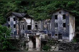 重庆1农户在家挖出泉眼，常冒鱼儿，最多1天冒出1000斤，看啥情况图片