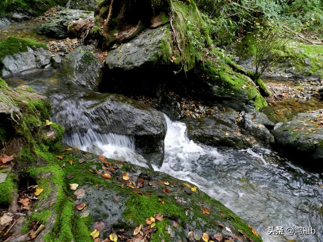 重走抗联路——本溪关门山森林公园鸣翠谷景区抗联秘营