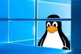 我们用Windows官方跑了跑Linux GUI应用，不愧是“胶水操作系统”图片