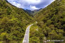 泰安市东原实验学校2021-2022学年九年级上学期学情诊断语文试题图片