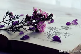 我们不是夫妻，却胜似夫妻图片