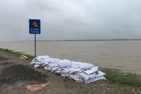 记者探访一级防汛响应下的武汉市东西湖府澴河堤防图片