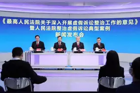 24条新规！最高院整治虚假诉讼（全文+解读+案例），11月10日起实施图片