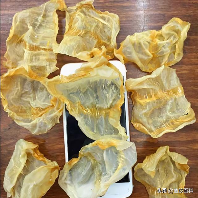 花胶冷藏多久 花胶冷藏多久可以吃