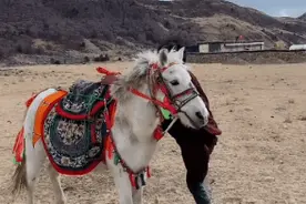 华姐连发三推为他“打call”！丁真凭什么？图片