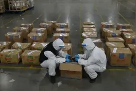 「大单」820公斤穿山甲鳞片！南宁海关破获一起走私大案图片