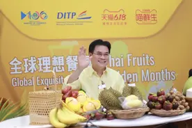刷我滴卡！“外交天团”直播带货，泰国副总理凭什么拿第一图片