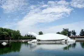 五一去哪儿(6) | 不负春光！欢迎打卡巨龟苑！图片