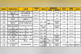 快讯！金茂拍得方岛百万建面地块，强势入主四新图片