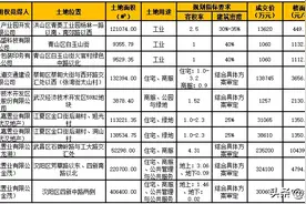 快讯！金茂拍得方岛百万建面地块，强势入主四新图片